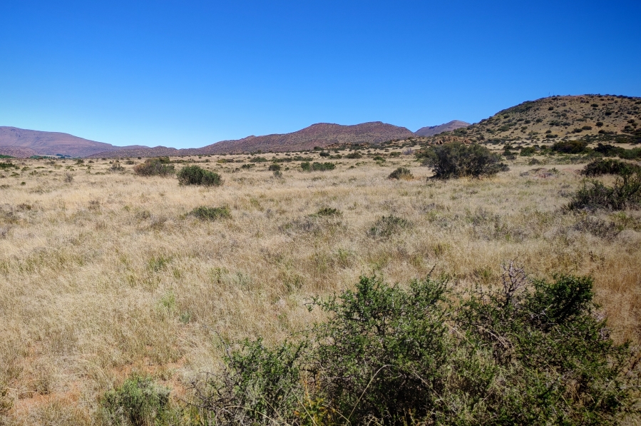 4 Bedroom Property for Sale in Middelburg Rural Eastern Cape